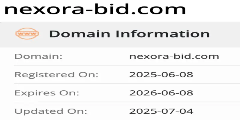 NexoraBid домен домен NexoraBid
