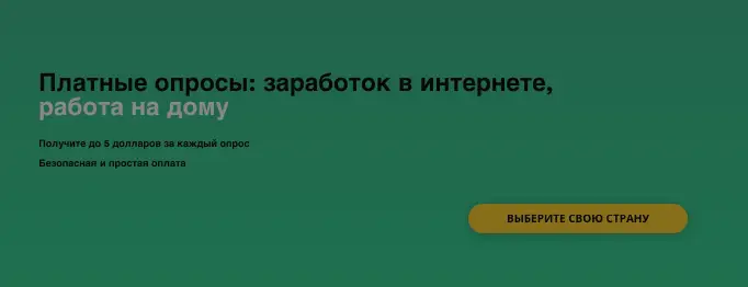 MetroOpinion обзор информация о MetroOpinion