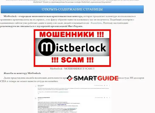 Мошенники Mistberlock