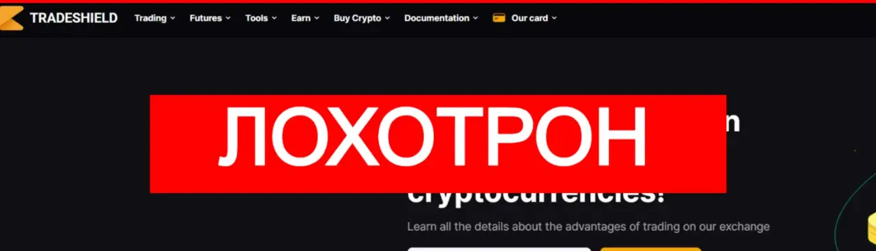 инфо о сайте TradeShield