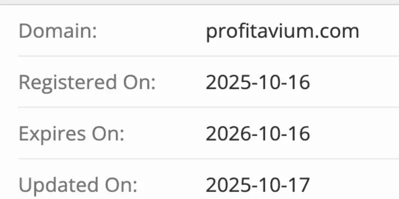 FinVision домен домен FinVision