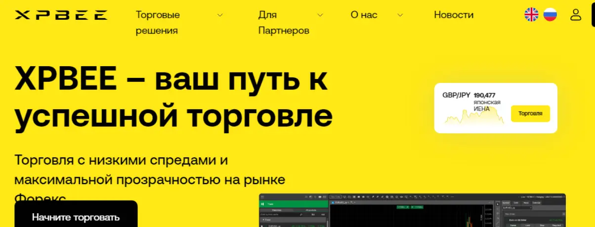 обзор XPBee Trading