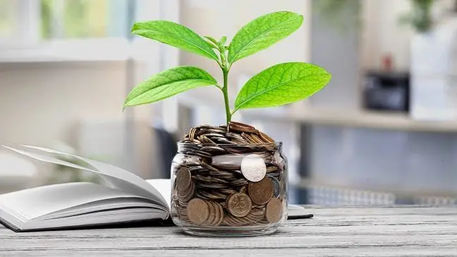 Как заработать на инвестициях с минимальными вложениями