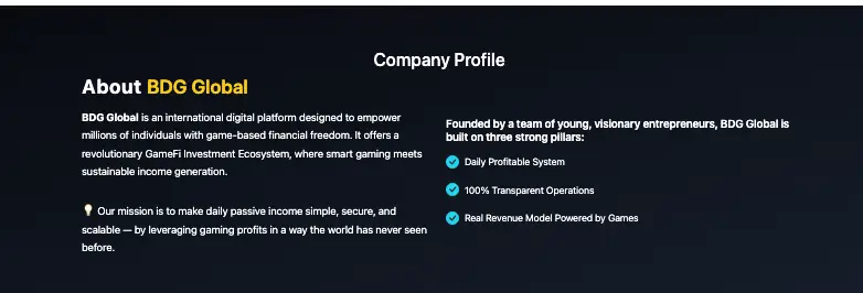 BDG Global обзор Юр инфо BDG Global