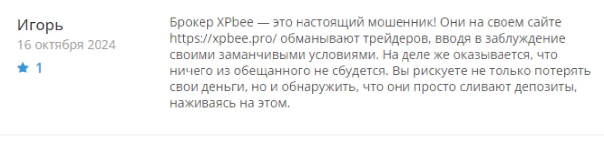 отзыв про XPBee Trading