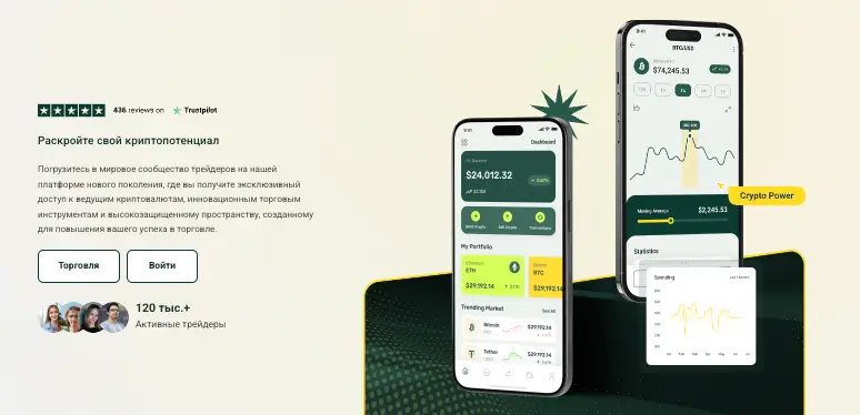 CoinAleo обзор условий  что известно? CoinAleo