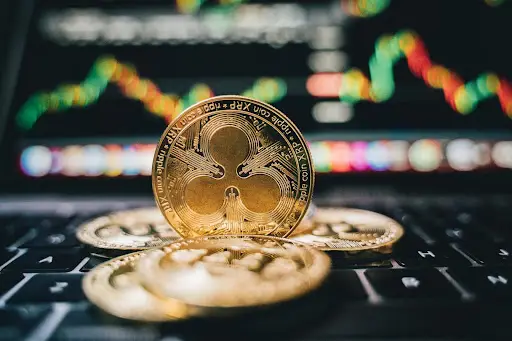 6 новых криптовалют которые выстрелят в 2024 году 6 новых криптовалют которые выстрелят в 2024 году