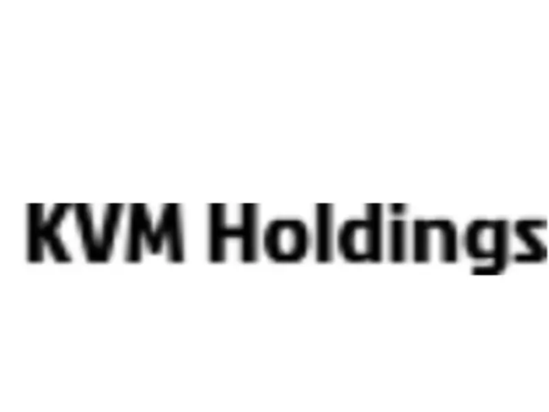 Обзор - KVM Holdings