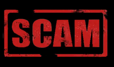 Обзор - tilda ws