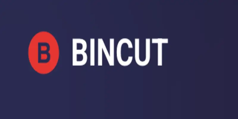 Обзор - Bincut