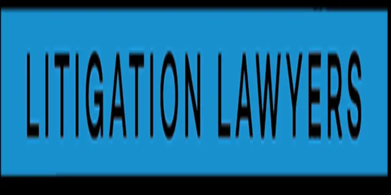 Обзор - Litigation Lawyers