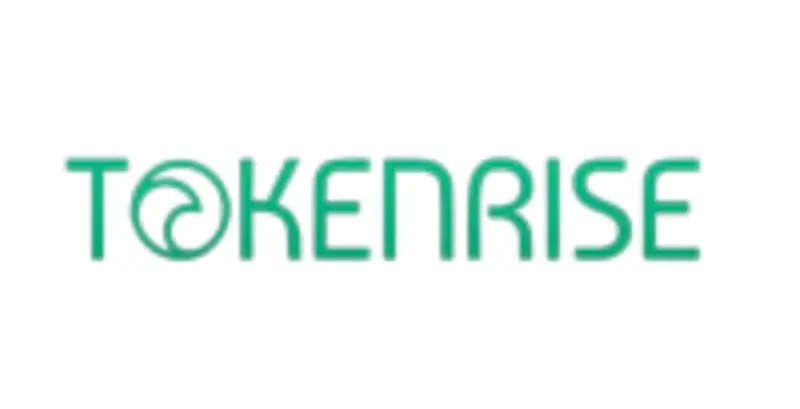 Обзор - Token Rise