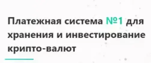 Обзор - New Pay или Платежная система номер 1