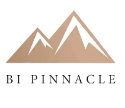 Обзор - BI Pinnacle
