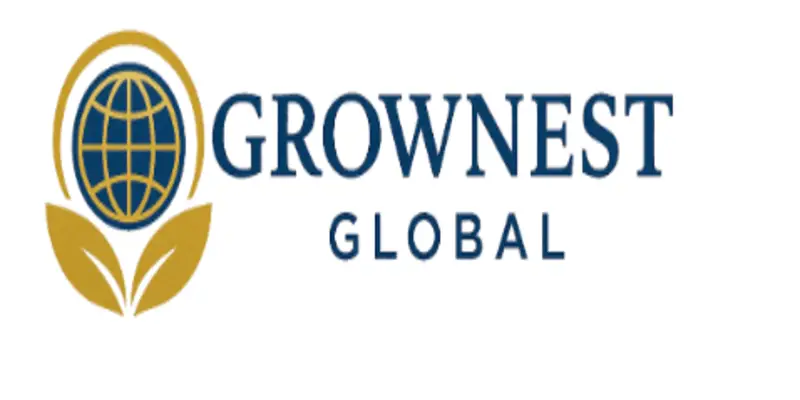 Обзор - Glow Nest Global