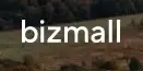 Обзор - Bizmall