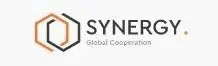 Обзор - Synergy Group