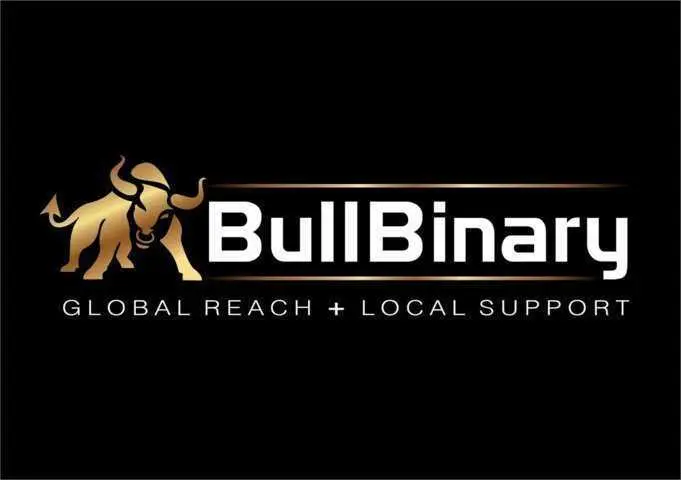 Обзор - BullBinary