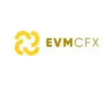 Обзор - EVMcfx 