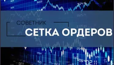 Обзор - Setka Trader