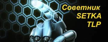 Обзор - Советник Setka TLP