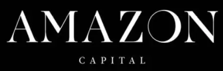 Обзор - Amazon Capital 
