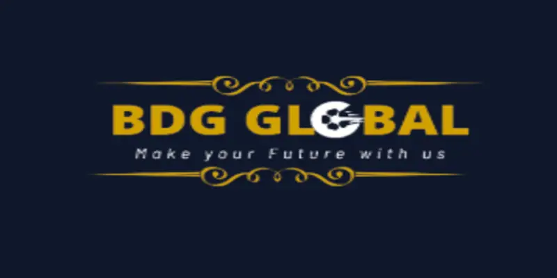 Обзор - BDG Global