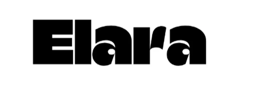 Обзор - Elara Limited
