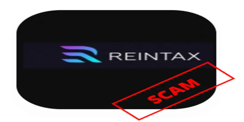 Обзор - Reintax