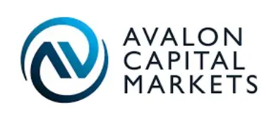 Обзор - Avalon Capital Mark