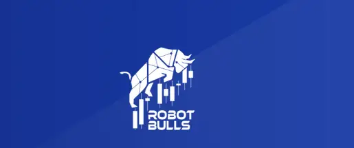 Обзор - RobotBulls
