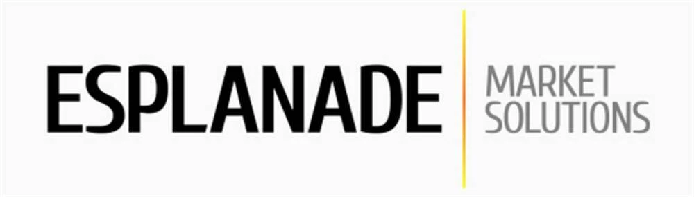 Обзор - Esplanade Market Solutions