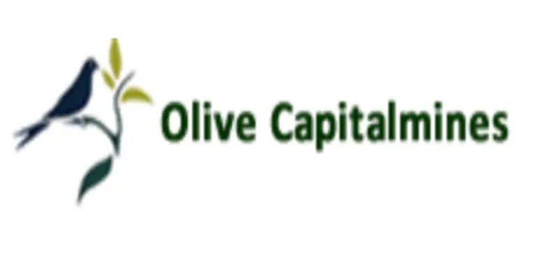 Обзор - Olive Capitalmines