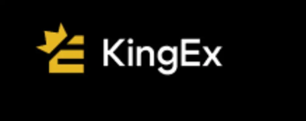 Обзор - KingEX