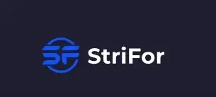 Обзор - Strifor