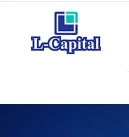 Обзор - L-Capital