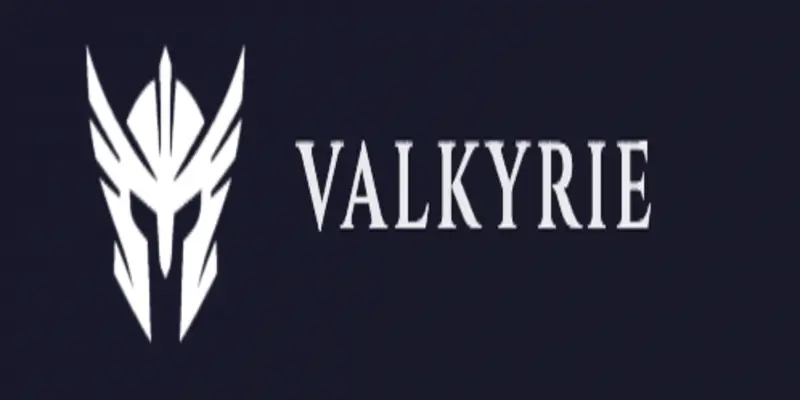 Обзор - Valkyrie Revival Fund Обзор - Valkyrie Revival Fund