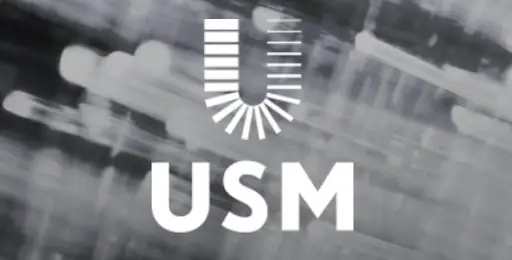 Обзор - USM group