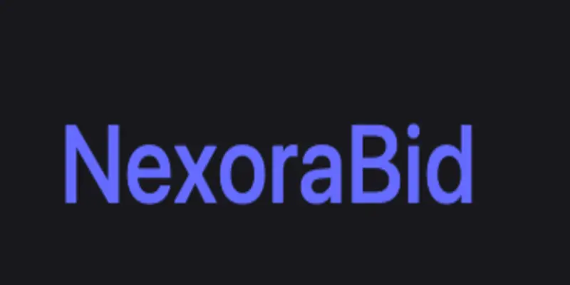 Обзор - NexoraBid
