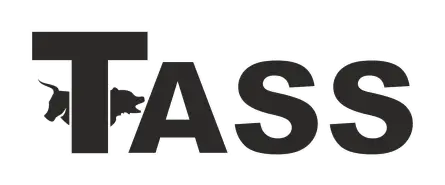 Обзор - TASS-BROKER