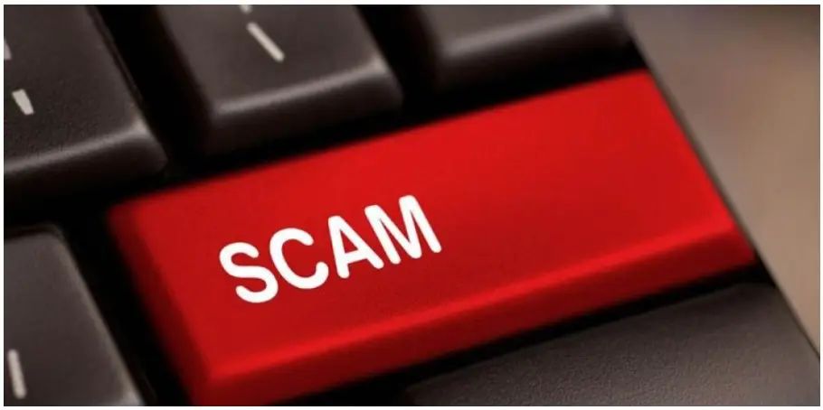 Обзор - Empire Signals