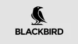 Обзор - Blackbird Financial Services