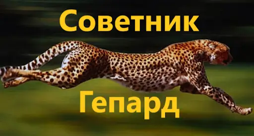 Обзор - Gepard