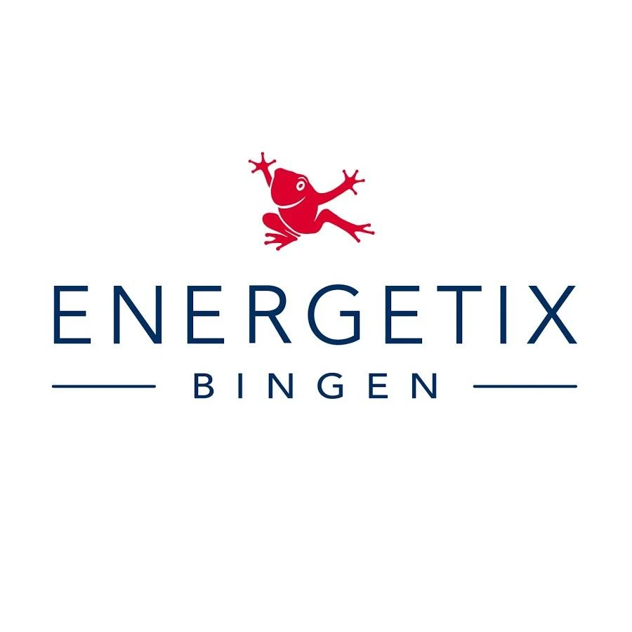 Обзор - ENERGETIX