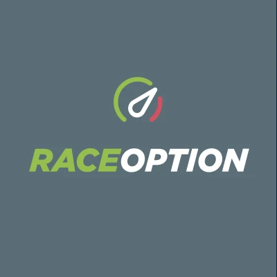 Обзор - Raceoption