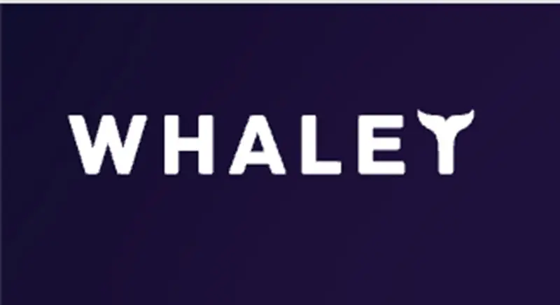 Обзор - Whalet LTD