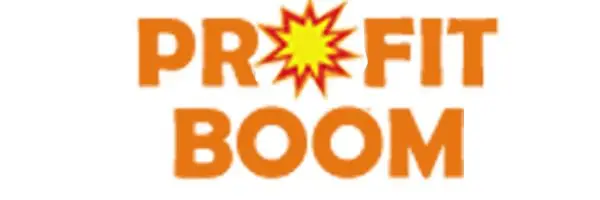 Обзор - Profit Boom