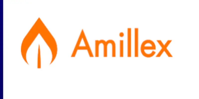 Обзор - Amillex