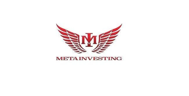 Обзор - META INVESTING