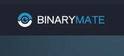 Обзор - BinaryMate
